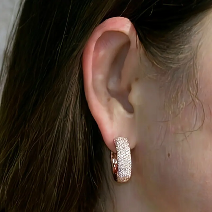 Shiny Cubic Zirconia Earrings