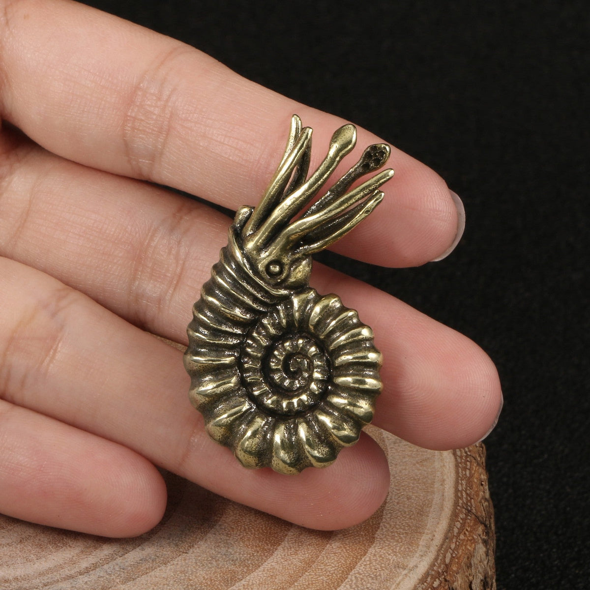 Antique Brass Nautilus Charm