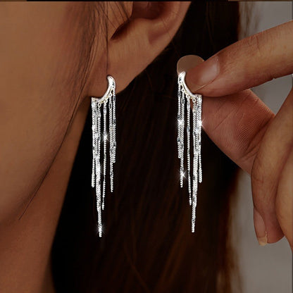 Silver Tassel Drop Earrings