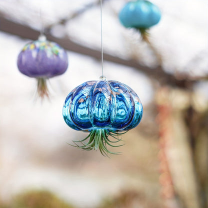 Blue Glass Jellyfish Air Plant Holder