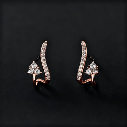 Curved Zircon Earrings